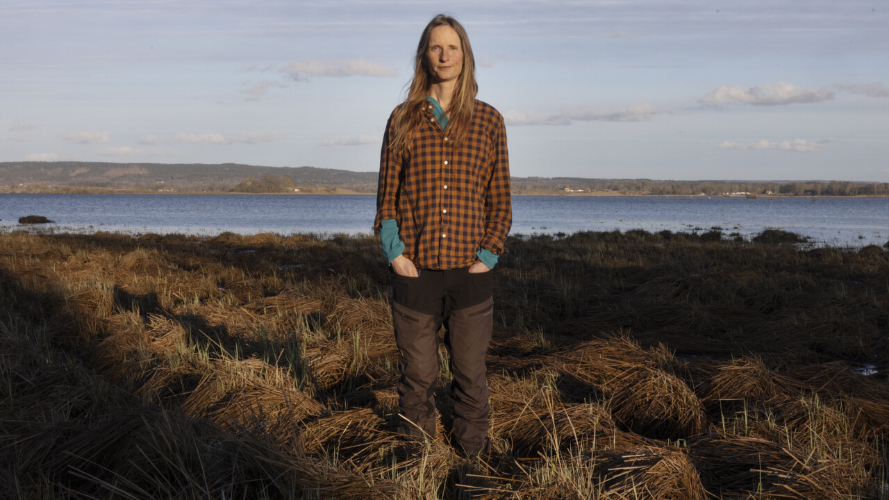 Biologen, journalisten och författaren Anna Froster tilldelas Natur & Kulturs populärvetenskapliga pris 2025 för sina intresseväckande naturskildringar.