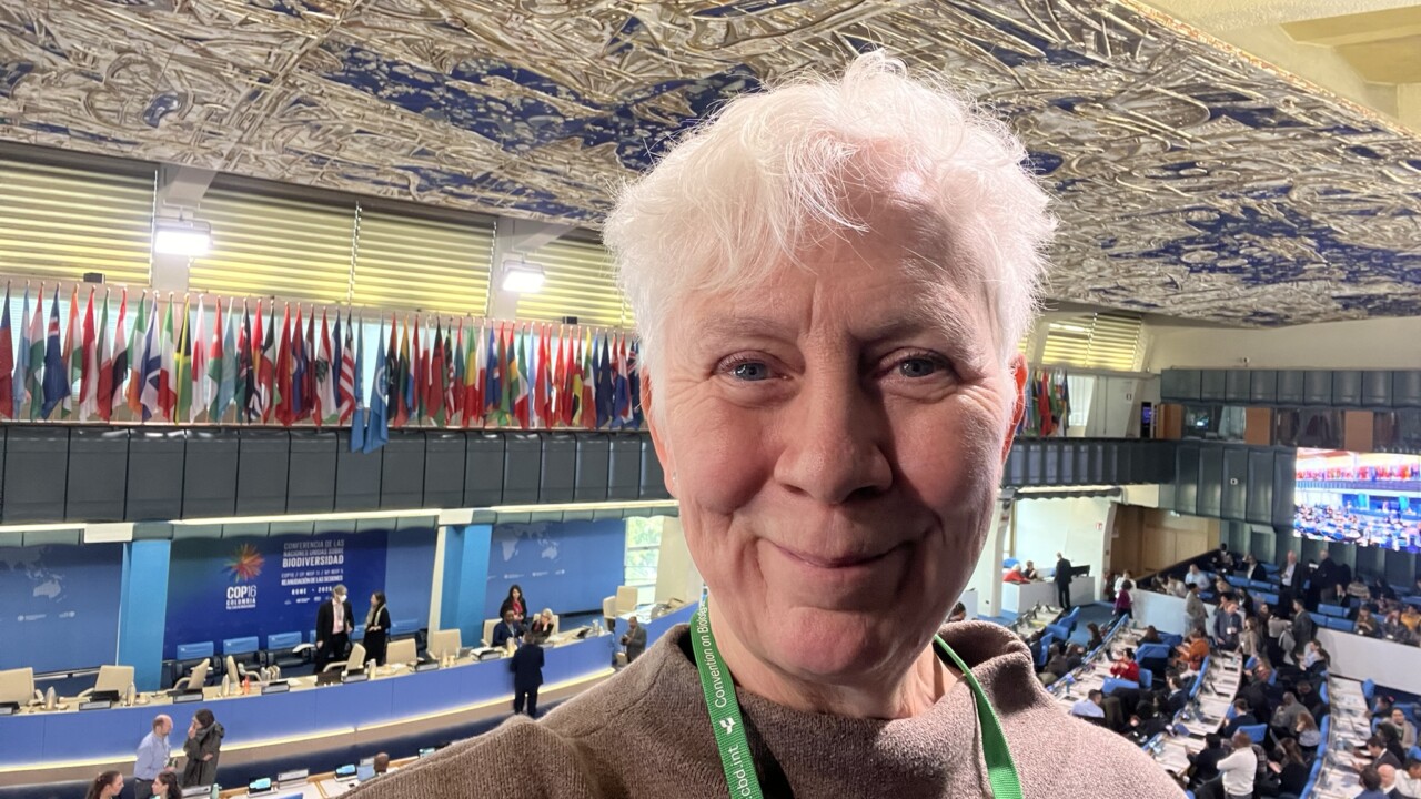 Annika Digréus på FN-mötet om biologisk mångfald i Rom i februari 2025.