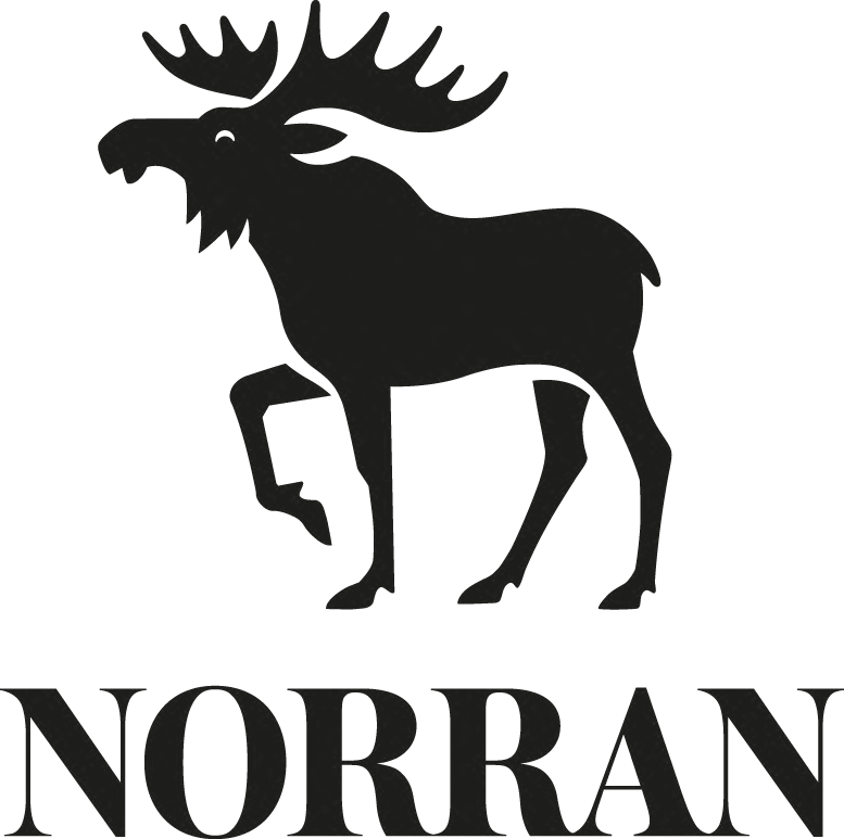 Sajtchef till Norran